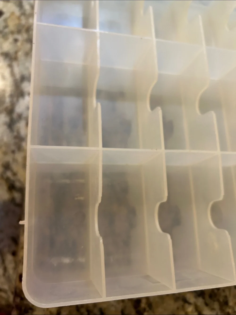Multi-Compartment Clear Plastic Double Sided Organizer with Caring Handle